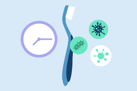 how long do viruses live on toothbrushes