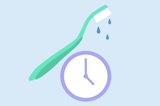 how long does it take for a toothbrush to dry