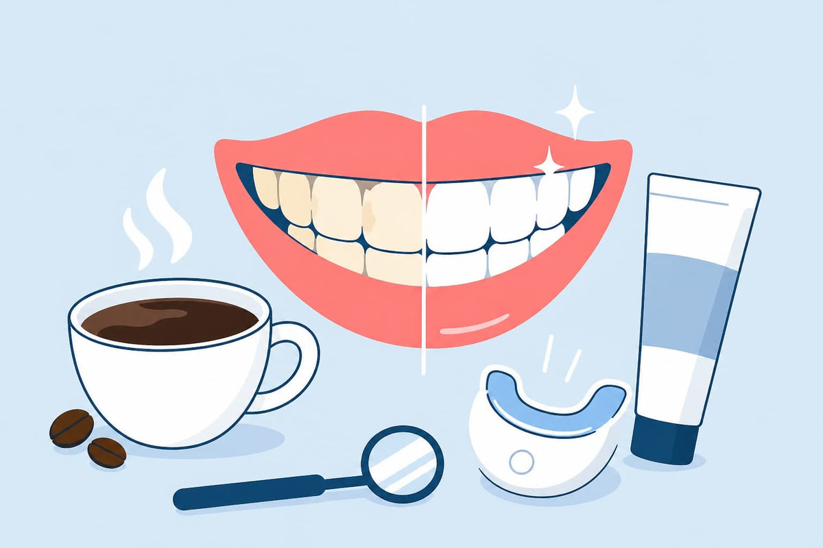 Best Teeth Whitening For Coffee Drinkers: What Actually Works