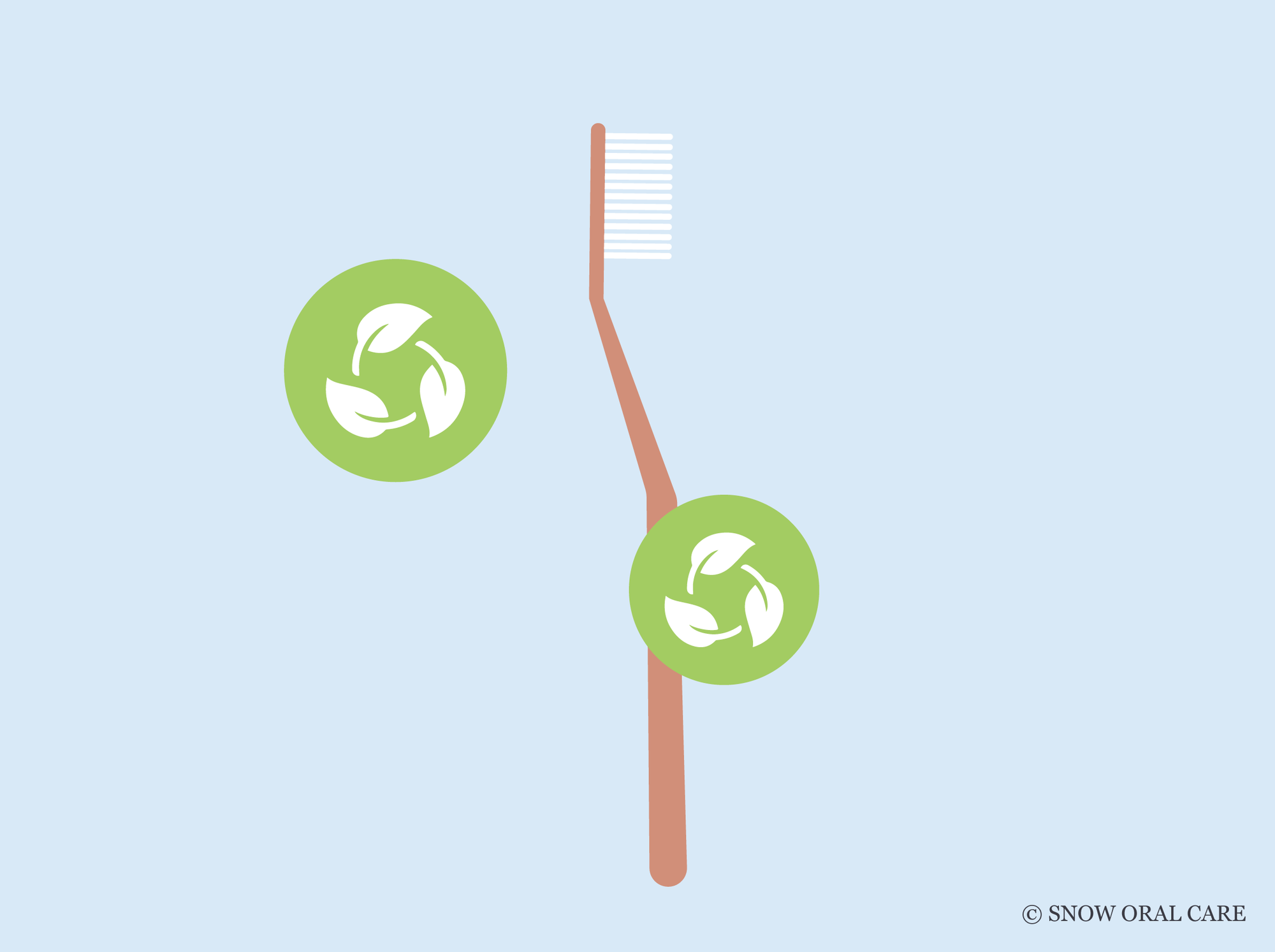 are bamboo toothbrushes good for the environment