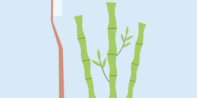 Bamboo Toothbrush Benefits