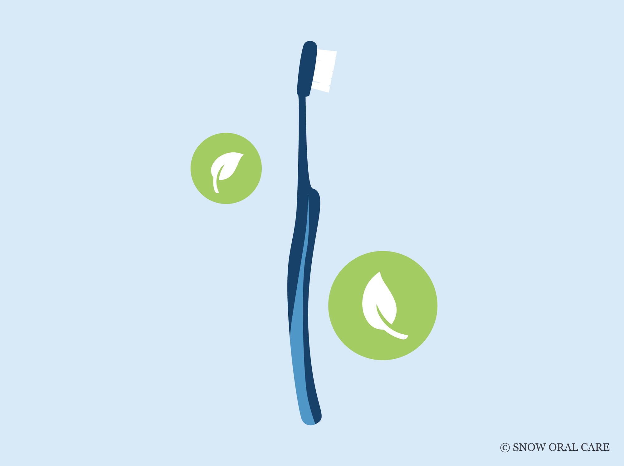 best biodegradable toothbrush