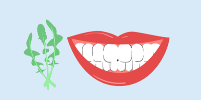 does chicory stain teeth