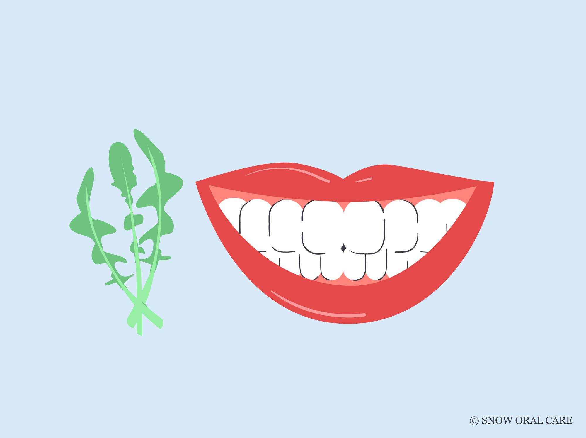 does chicory stain teeth