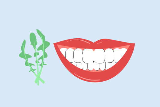 does chicory stain teeth