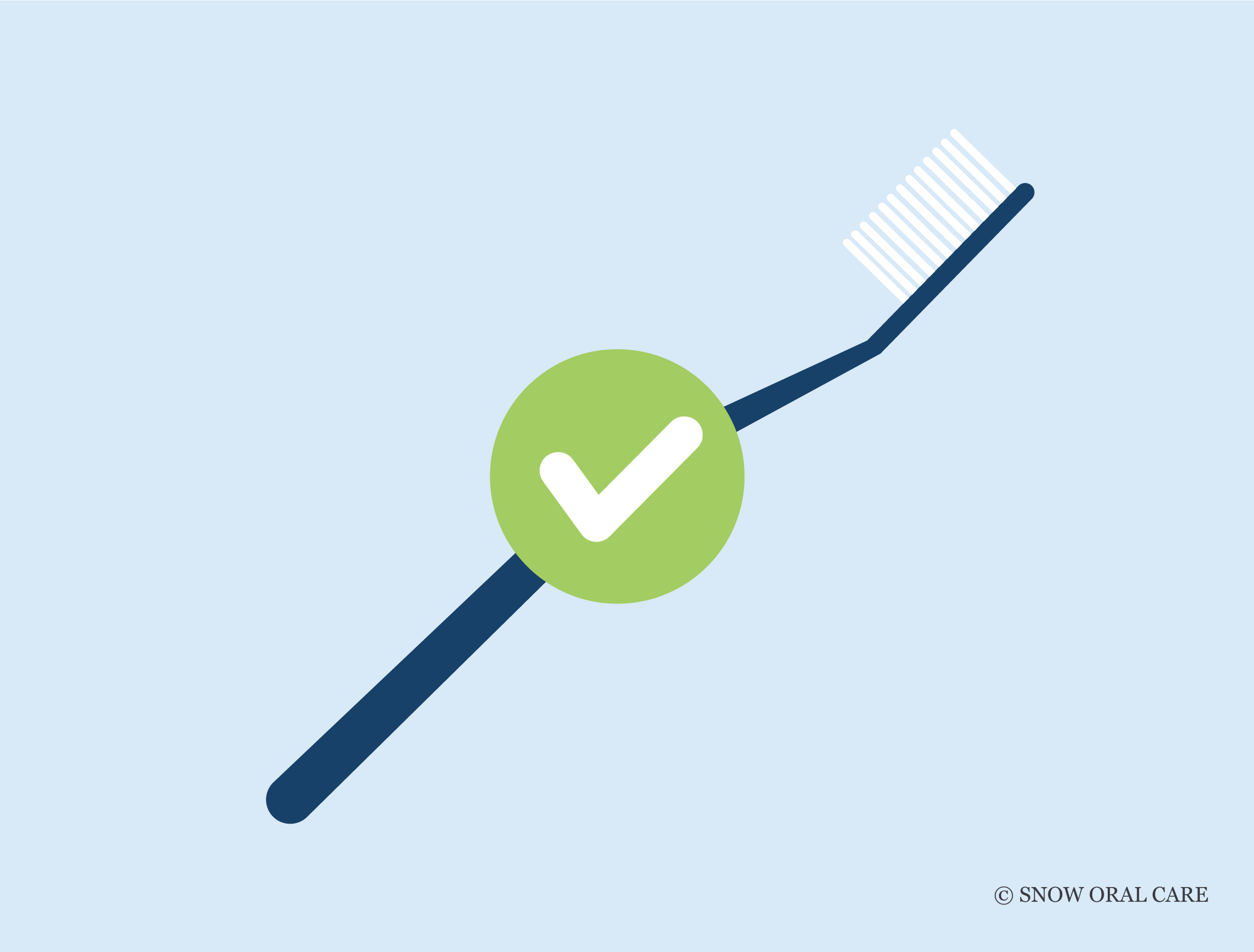 facts about toothbrushes
